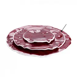 Купить тарелка стеклянная вино вишневый d23см, merlot xglas-523 – цена от завода, доставка до двери | RuOborudovanie.ru