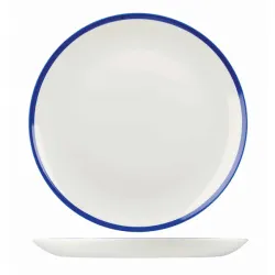 Тарелка мелкая 28,8СМ, без борта, Retro Blue Whbbev111 – купить в RuOborudovanie.ru с доставкой до двери Купить тарелка мелкая 28,8см, без борта, retro blue whbbev111 – цена от завода, доставка до двери | RuOborudovanie.ru
