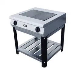 Купить плита электрическая grill master ф2жтлпэ – цена от завода, доставка до двери | RuOborudovanie.ru