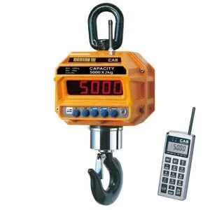Весы крановые Cas 10 THD TW-100 с пультом ДУ (10т/5кг) – купить в Ижевске по цене завода