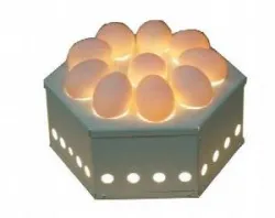 Купить овоскоп итерма (iterma) egg10 в Ижевске – цена завода, доставка до двери | RuOborudovanie.ru