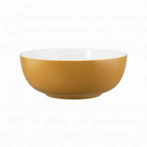 Салатник Seltmann Weiden Life Amber Gold 65015 20 СМ 001.757422 – купить по цене завода