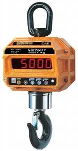 Весы крановые Cas 1 THD (1т/0,5кг) IP65 электронные – купить в Ижевске по цене завода