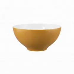 Купить салатник seltmann weiden life amber gold 65015 15,5 см 001.757421 – цена от завода, доставка до двери | RuOborudovanie.ru
