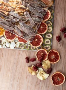 Дегидратор Kocateq DHFD16 для овощей с 16 уровнями 39,6х39,6см (сушилка) – купить в Ижевске по цене завода
