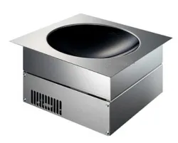Купить плита индукционная wok встраиваемая drop-in с 1 конфоркой 30 см scholl sh/wo/in5000 – цена от завода, доставка до двери | RuOborudovanie.ru
