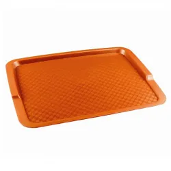 Поднос пласт. 32Х42,5СМ, оранжевый 422108008 – купить в Ижевске с доставкой Купить поднос пласт. 32х42,5см, оранжевый 422108008 в Ижевске – цена завода, доставка до двери | RuOborudovanie.ru