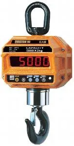 Весы крановые Cas 15 THD TW-100 (15т/5кг) IP65 электронные – купить в Ижевске по цене завода