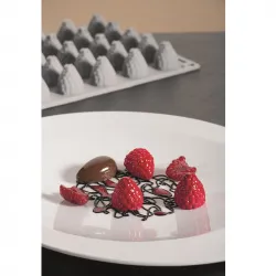 Купить форма силиконовая "gourmand ягода" d24мм h27мм, 7мл, 35 ячеек gg017s в Ижевске – цена завода, доставка до двери | RuOborudovanie.ru