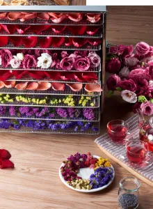 Дегидратор Kocateq DHFD10 для овощей с 10 уровнями 39,6*39,6см (сушилка) – купить в Ижевске по цене завода