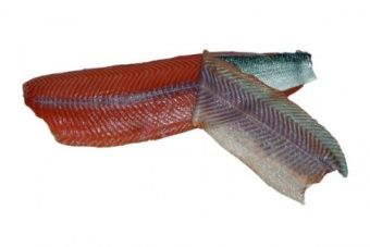 Шкуросъёмная машина для рыбы Nock Cortex CBF 496 SALMON – купить в Ижевске по цене завода