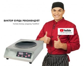 Плита индукционная Kocateq ZLIC3500 WOK настольная с 1 конфоркой 27,5см – купить по цене завода