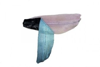 Шкуросъёмная машина для рыбы Nock Skinex SBW 496 WHITE FISH – купить в Ижевске по цене завода