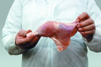 Шкуросъёмная машина Nock Cortex CBP 695 POULTRY – купить в Ижевске по цене завода