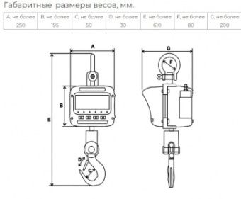 Весы крановые Невские весы ВСК-2000В (2 тонны) – купить в Ижевске по цене завода